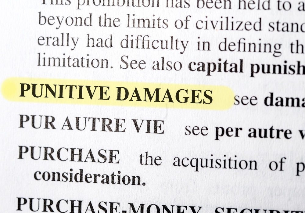 Does Business Insurance Cover Punitive Damages?