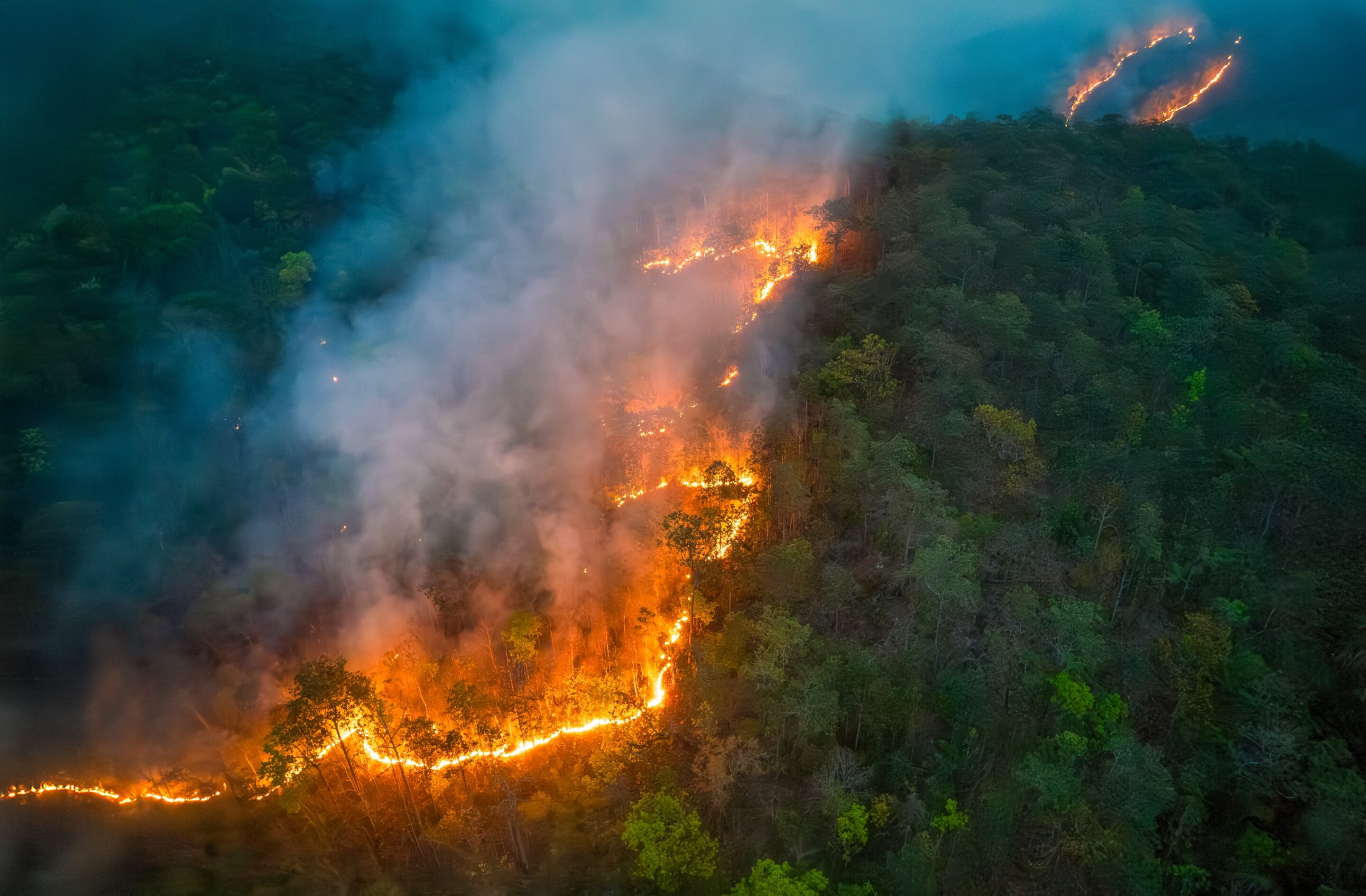 Insurers Will Look for Loopholes to Limit Their Liability as California Wildfire Claims Mount