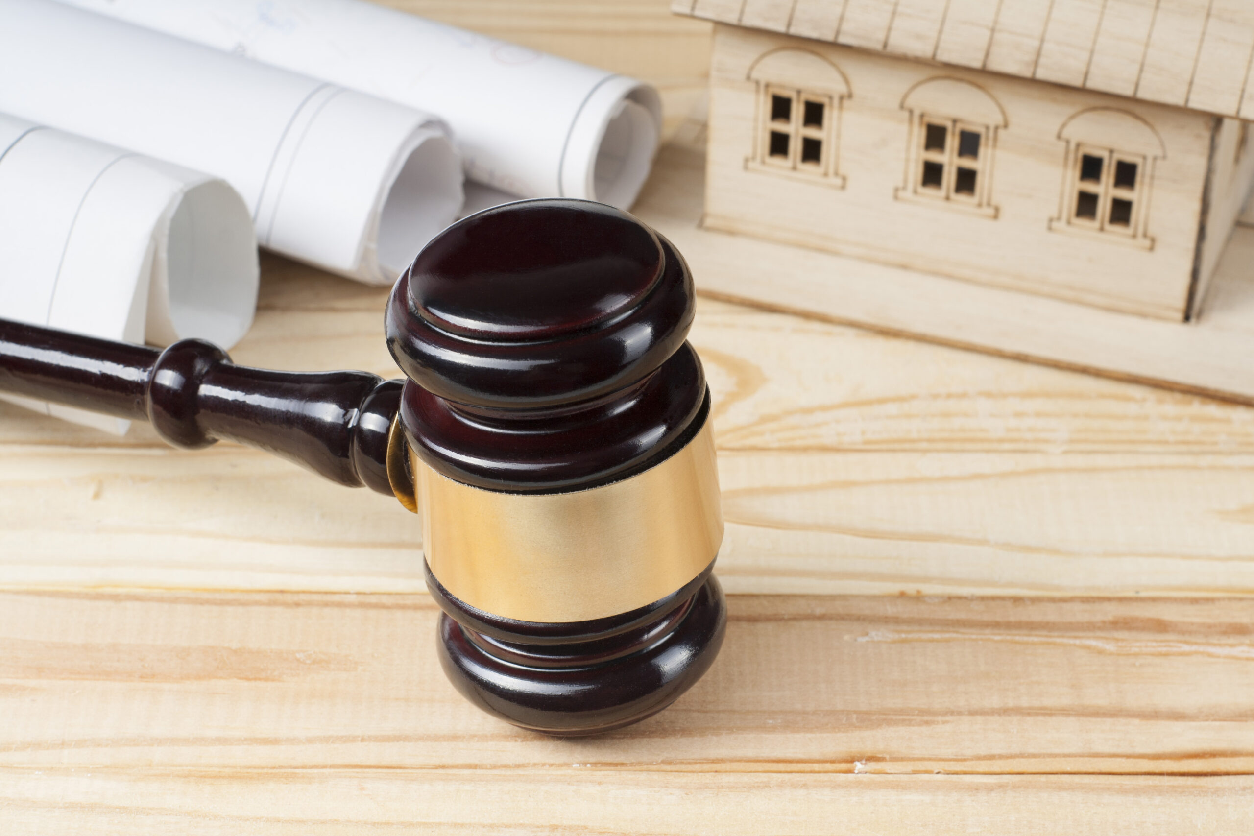 Construction Defect & Negligent Construction Litigation Support